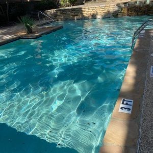 Meet your Posher, Rosa